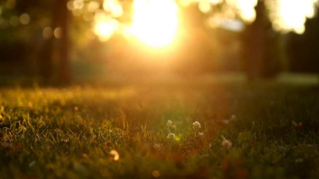 ПРОСТО ВІДПОЧИВАЙ І СЛУХАЙ МІЙ ГОЛОС 🙌 ЦІЛИТЕЛЬНА ПРАКТИКА ТІЛА ☀️ смотреть онлайн