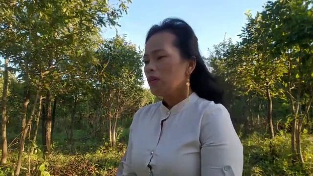 Kws txhiaj tsiv teb caws chaws смотреть онлайн