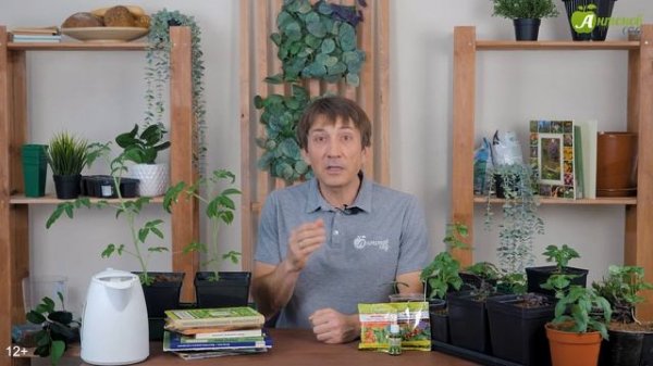 Нематода в огороде: 3 эффективных способа избавиться от нее!