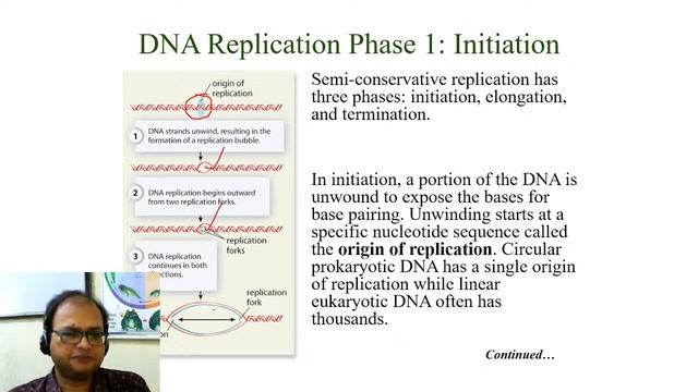 DNA REPLICATION PART-1 NEET BIOLOGY  Live Stream BY R R GAUR,