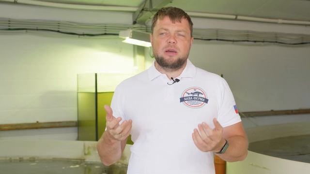 Вольфия - обзор на водное чудо растение смотреть онлайн