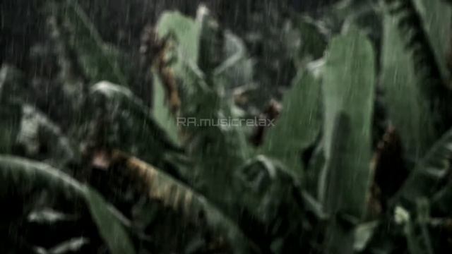 DNDM Hussein Arbabi DUBAI.mp3[RA.musicrelax]