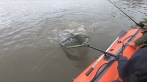 Ради этой рыбалки стоит ехать на Север