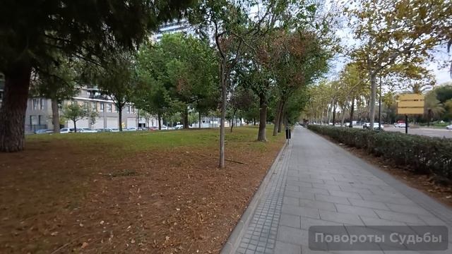 Официантка тайком от менеджера поделилась своим обедом с бездомным но на следующий день когда он во смотреть онлайн