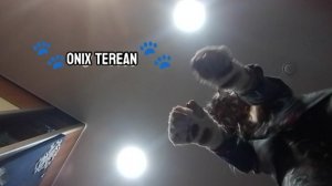 квадробика🌨