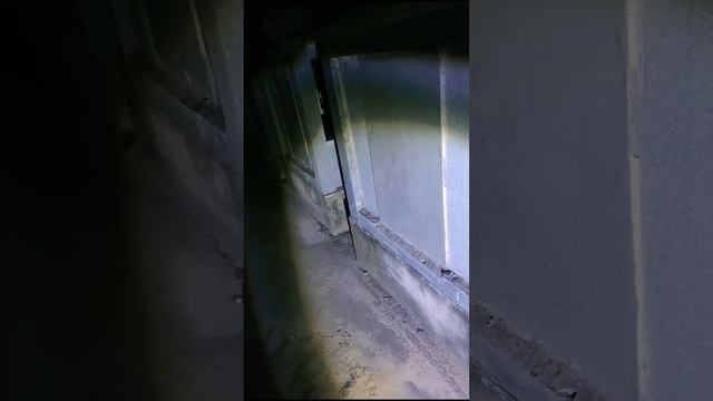 他們都出來了 夜晚墓地探險20241104 смотреть онлайн