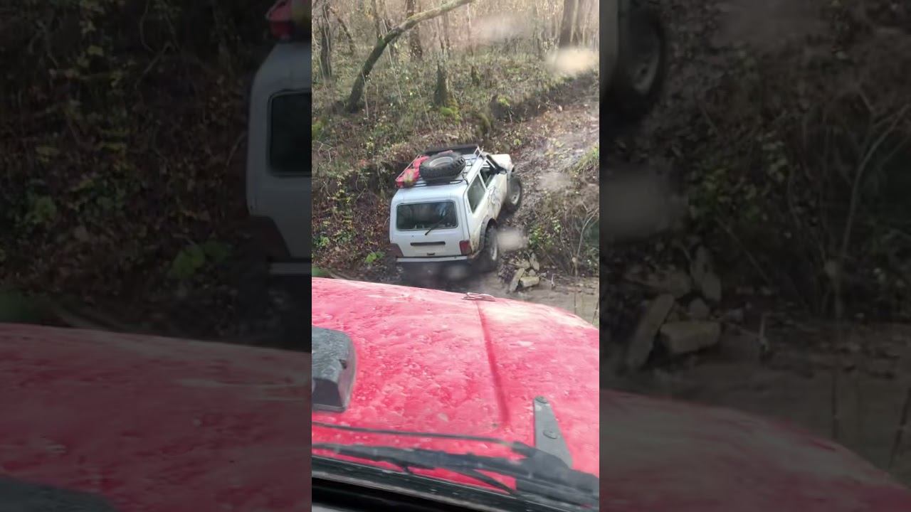 Скоро новые приключения…. смотреть онлайн