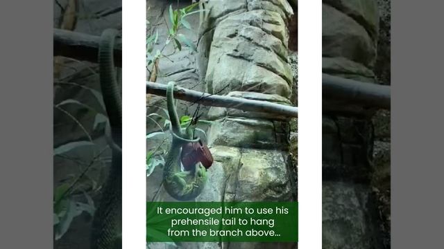 Kubor Enjoyed A New Enrichment!