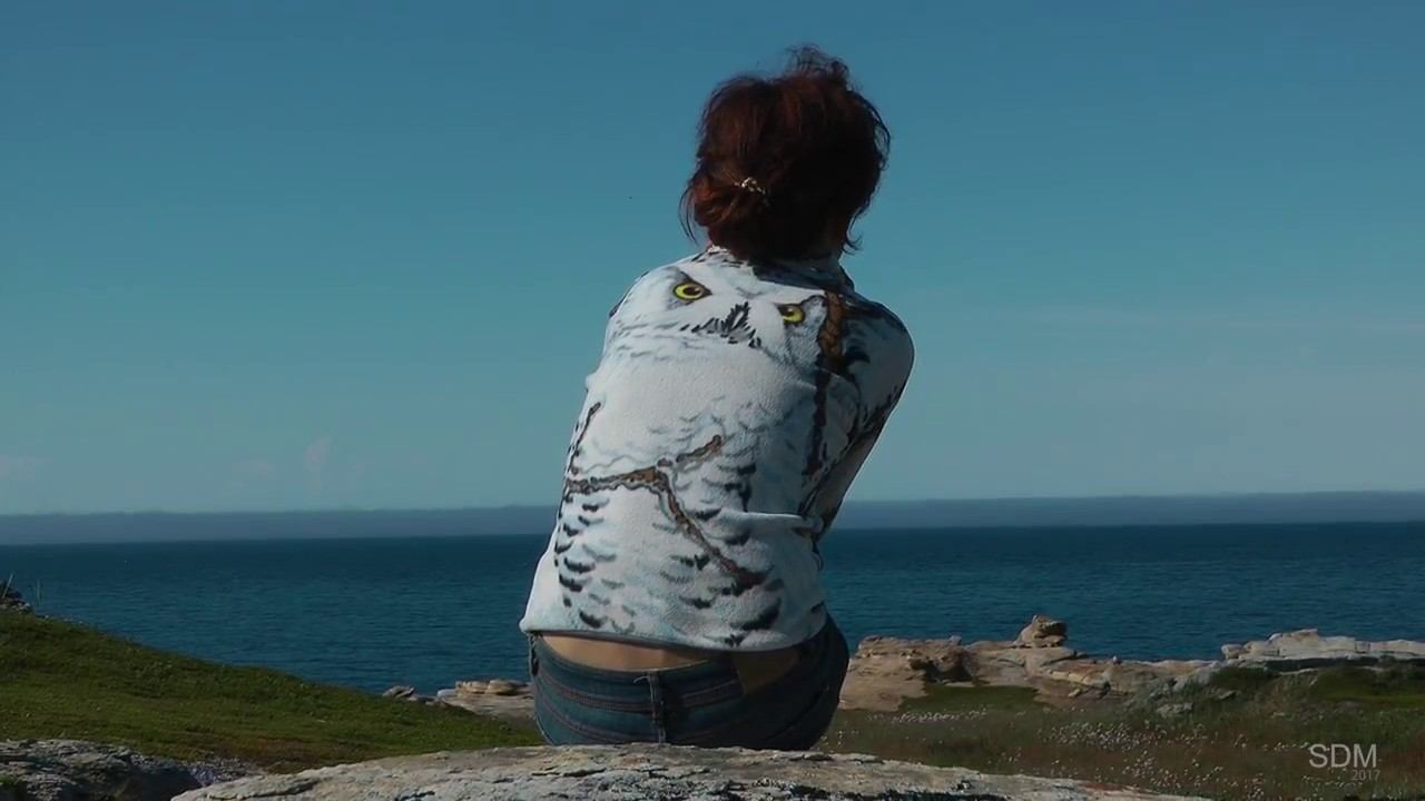 Тизер 1. Полуостров Средний, Ладога и Онега. На Северный ледовитый океан в автомобиле с палатками смотреть онлайн