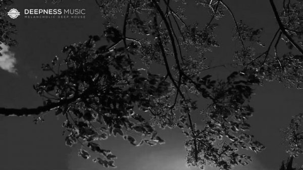 Nando Fortunato - Tomorrow (GeoM Remix) | Video Edit