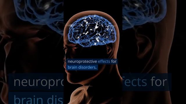 Acetyl-L-Carnitine: Energy Production смотреть онлайн