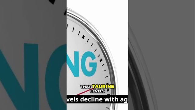 Discover the Anti-Aging Power of Taurine: Boost Your Health and Lifespan! смотреть онлайн