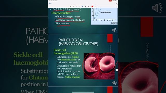 Hemoglobin - Part 2 смотреть онлайн