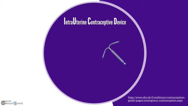 PHAR10400 University of Manchester EHC Amin Adam Fatima Hamad Jon смотреть онлайн