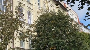 Советск — Прогулка по городу.