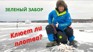 Где наловить плотвы в Свердловской области? Зеленый забор. Белоярское водохранилище.