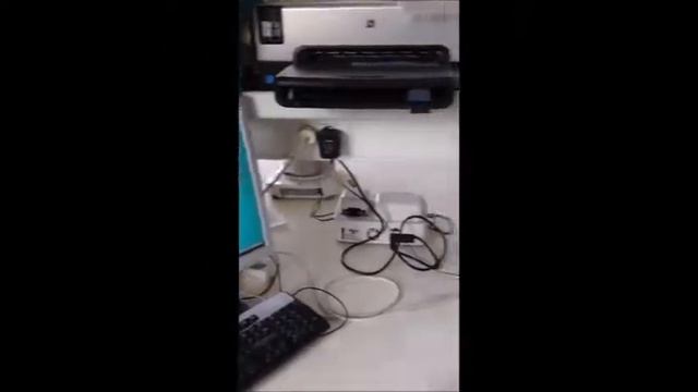 Lipase Activity Assay for the INFOGEST 2.0 Method for Food (2019 update in Nature Protocols) смотреть онлайн