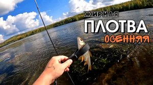 Много ЖИРНОЙ плотвы на мормышку. Отличный КЛЁВ. Мормышинг наноджиг ультралайт