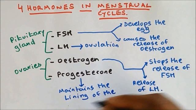 Hormones in Menstrual Cycle, GCSE BIOLOGY SCIENCE смотреть онлайн