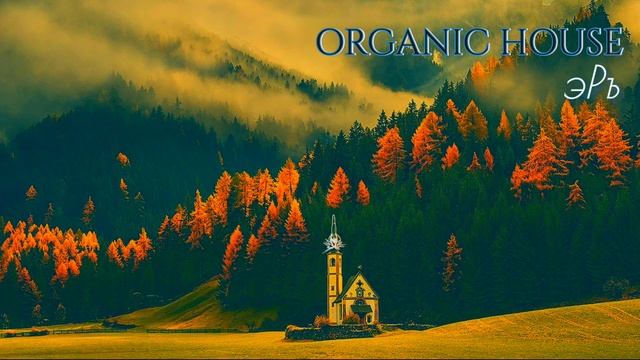 эРъ Organic House (live)