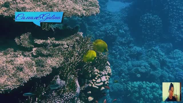 -Frank Duval-THE BEST MUSIC-Самая&Galina