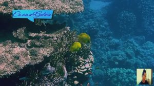 -Frank Duval-THE BEST MUSIC-Самая&Galina