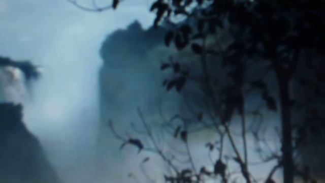 Любовь хамелеон смотреть онлайн