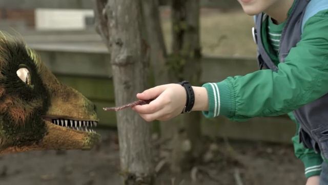 Dino Dan | Trek's Adventures: Use Your Dino Senses - Episode Promo