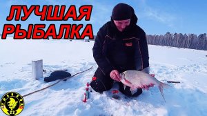 РАЗДАЧА ЛЕЩА НА ОБИ! РЫБАЛКА НА КОМБАЙНЫ.