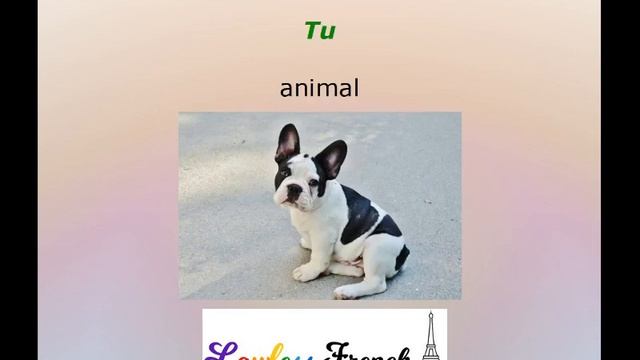 Tu vs Vous: A Love-Respect Relationship смотреть онлайн