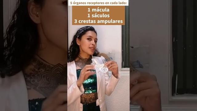 ¿Cómo es el órgano del equilibrio?, todos tenemos piedras ahí, averigua dónde: смотреть онлайн