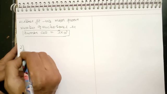 NEET BOTANY-- PACKAGING OF DNA HELIX смотреть онлайн