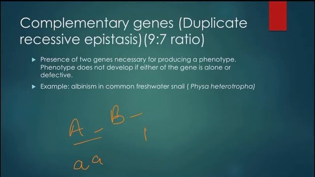 Inhibitor Gene and Complementary Genes, (BSc Part:3 Zoology) смотреть онлайн