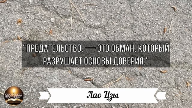 Невероятно Правдивые и Точные Цитаты о Предательстве и Верности от Знаменитых Людей смотреть онлайн