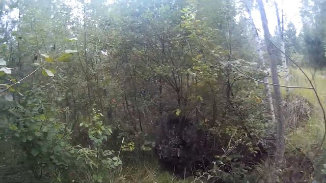 Охота на "Лешего" :))) #страйкбол#казань смотреть онлайн
