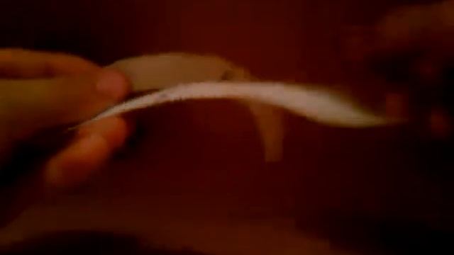 Что длинее А или Б. Оптичискии илюзии смотреть онлайн