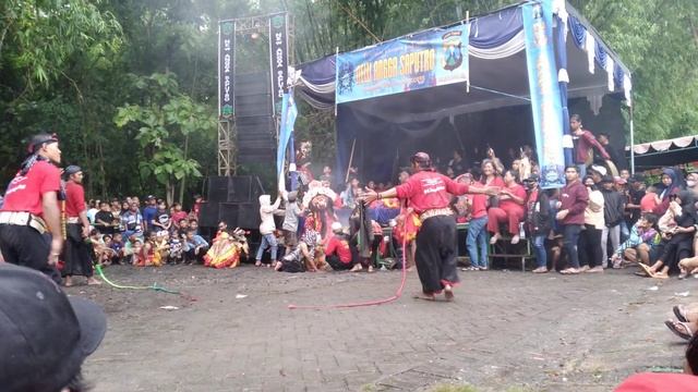 kewan alas full galak❗NEW ANGGA SAPPUTRO @ph pro channel смотреть онлайн