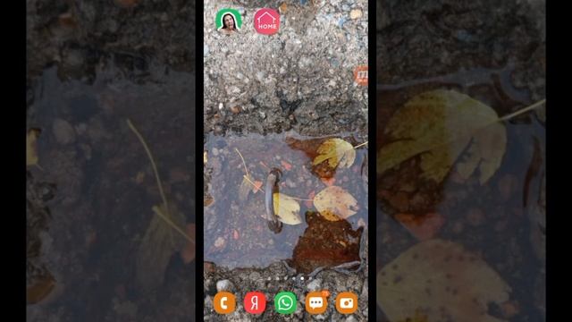 я бетон с водой смотреть онлайн