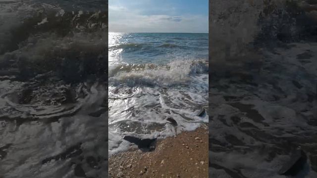 Морской воздух, прекрасный берег. Тёплая водичка. 🌊 смотреть онлайн