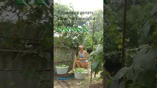 А горечь из салата легко убрала) замочила в ХолодноЙ воде лист на 3 часа и снова вкусно👍 #мама смотреть онлайн