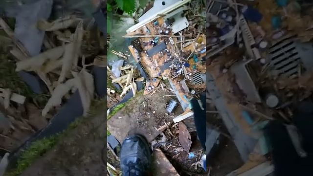 нашли много меди отрывок видео #12 смотреть онлайн