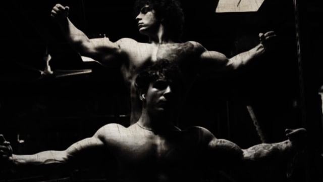 TESTOSTERONE BOOSTER - TrenTwins + Di Twisty - JUMPSTYLE (slowed + bassboosted) смотреть онлайн