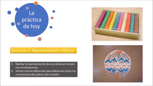 Práctica 9 completa Mitosis смотреть онлайн