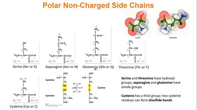 016 Chap4 Sect1 смотреть онлайн