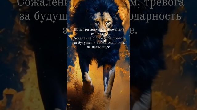 Правда смотреть онлайн