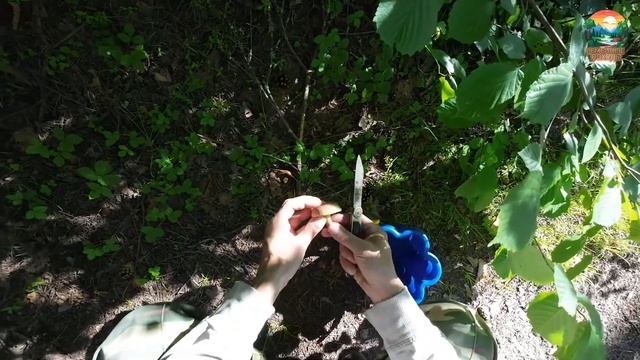 2 ЧАСТЬ. ПУТЕШЕСТВИЕ СЕМЬЕЙ В ЛЕС К РЕЧКЕ НАСОБИРАЛИ ЗЕМЛЯНИКИ, ГРИБОВ ДЕТИ СПЯТ В ПАЛАТКЕ УП-2 МИНИ смотреть онлайн