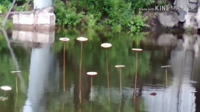 Загадочные зеркала в воде. Тайные знаки. смотреть онлайн
