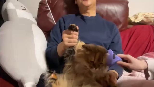 2024年12月16日 山芋蒸すだけ(Lv346546173) 大仏 смотреть онлайн