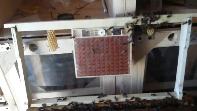 20170411_171741.mp4 смотреть онлайн