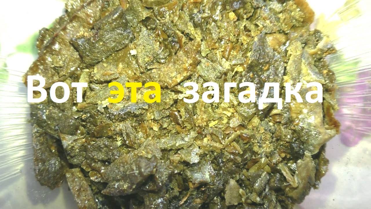 Этот загадочный прополис смотреть онлайн